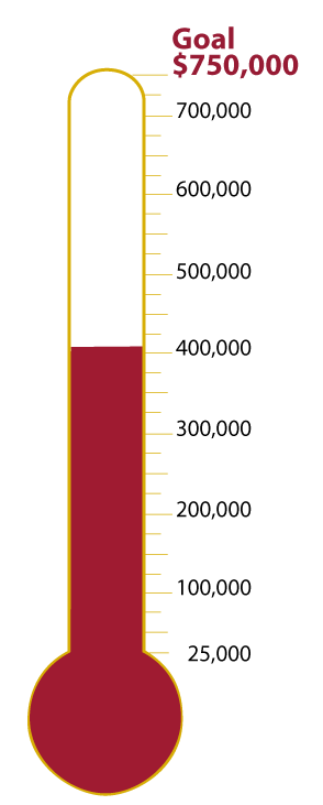 Fundraising thermometer